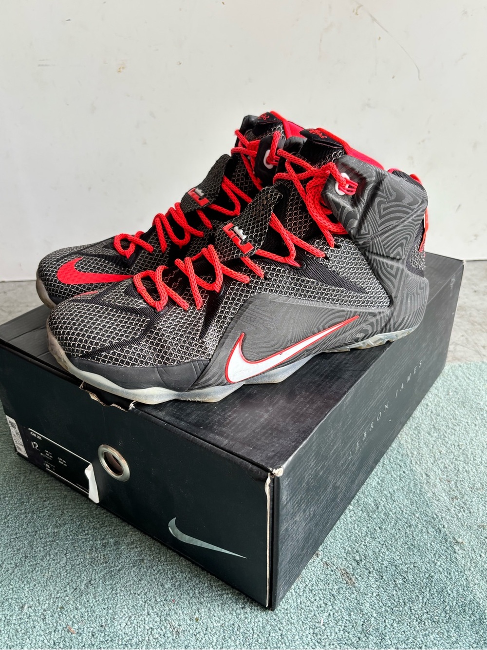 Nike Men’s LeBron 12 VISION